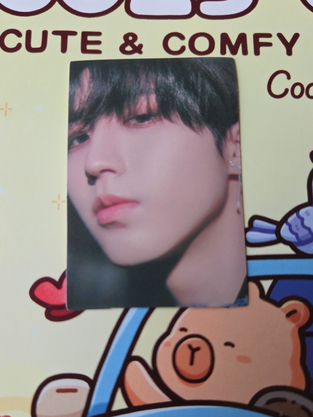 K-Pop Photocard Straykids Sticker - Portrait Mini Photo